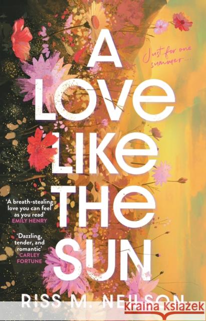 A Love Like the Sun: The tender and unforgettable romantic debut Riss M Neilson 9781398721654