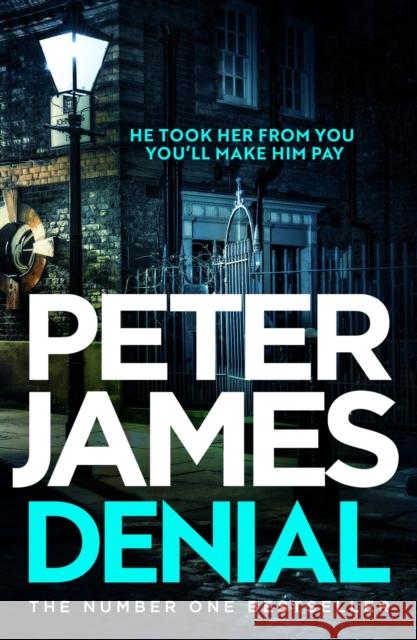 Denial: A gripping thriller filled with twists and turns Peter James 9781398725614 Orion Publishing Co