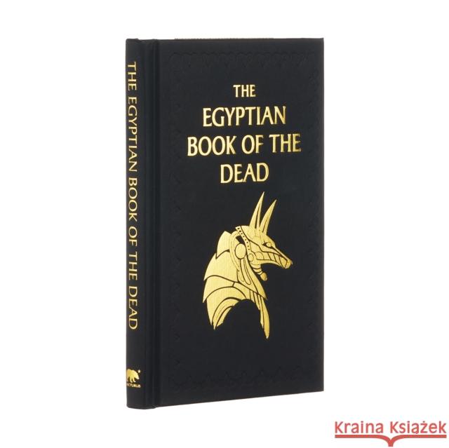 The Egyptian Book of the Dead: Gilded Pocket Edition EA Wallis Budge 9781398803695