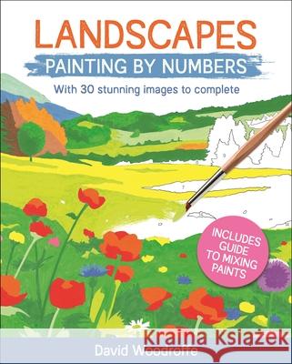 Landscapes Painting by Numbers: With 30 Stunning Images to Complete. Includes Guide to Mixing Paints David Woodroffe 9781398807723 Sirius Entertainment