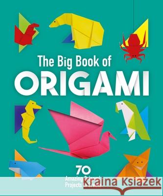 The Big Book of Origami: 70 Amazing Origami Projects to Create Webster, Belinda 9781398809062 ARC