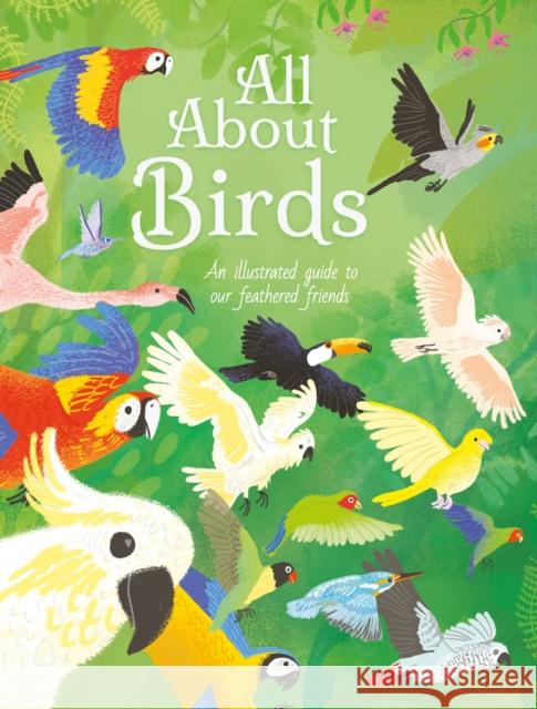 All About Birds: An Illustrated Guide to Our Feathered Friends Polly Cheeseman 9781398811164 Arcturus Publishing Ltd