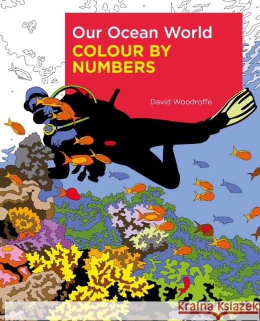 Our Ocean World Colour by Numbers David Woodroffe 9781398812512 Arcturus Publishing Ltd