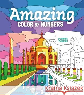 Amazing Color by Numbers Andres Vaisberg 9781398819719