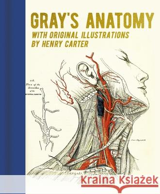 Gray's Anatomy: With Original Illustrations by Henry Carter Gray, Henry 9781398820586 Sirius Entertainment