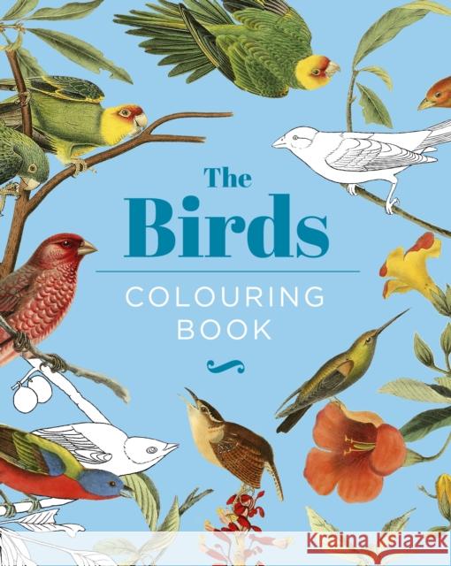 The Birds Colouring Book: Hardback Gift Edition Peter Gray 9781398824522 Arcturus Publishing Ltd