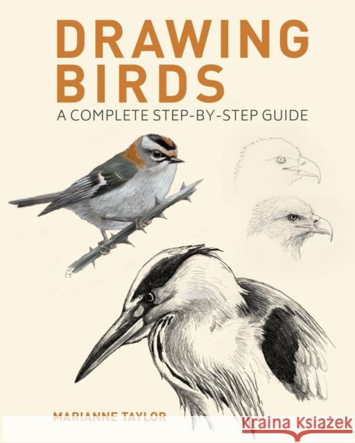 Drawing Birds: A Complete Step-by-Step Guide Marianne Taylor 9781398826717 Arcturus Publishing Ltd