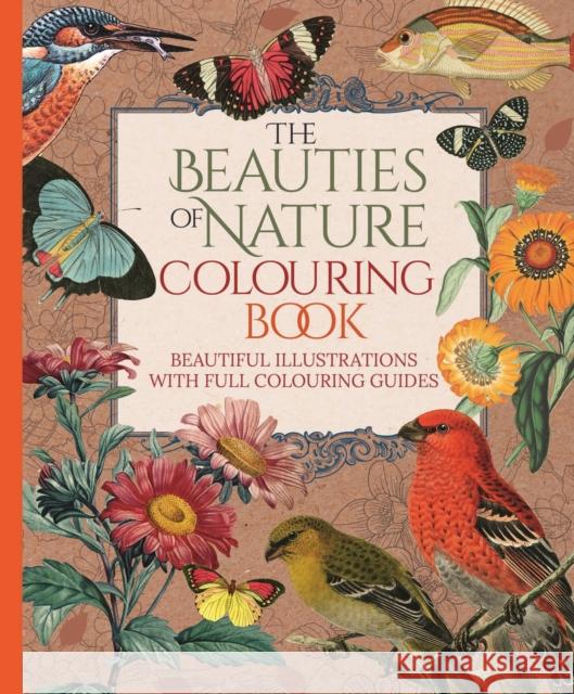 The Beauties of Nature Colouring Book: Beautiful Illustrations with Full Colouring Guides Tansy Willow 9781398827349 Arcturus Publishing Ltd