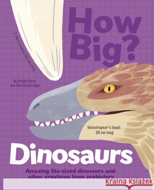 How Big? Dinosaurs: Amazing Life-Sized Dinosaurs and Other Creatures from Prehistory Dougal Dixon 9781398828582