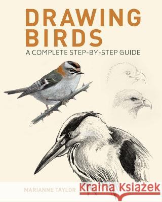 Drawing Birds: A Complete Step-By-Step Guide Marianne Taylor 9781398830493 Sirius Entertainment