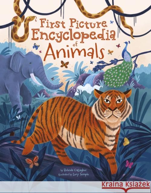 First Picture Encyclopedia of Animals Belinda Gallagher 9781398833418