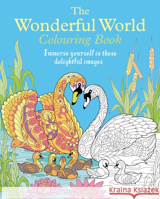 The Wonderful World Colouring Book: Immerse yourself in these delightful images Tansy Willow 9781398834958