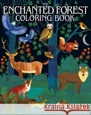 The Enchanted Forest Coloring Book Maria Brzozowska Maria Brzozowska 9781398836549 Sirius Entertainment