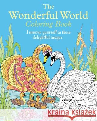 The Wonderful World Coloring Book: Immerse Yourself in These Delightful Images Tansy Willow 9781398837034