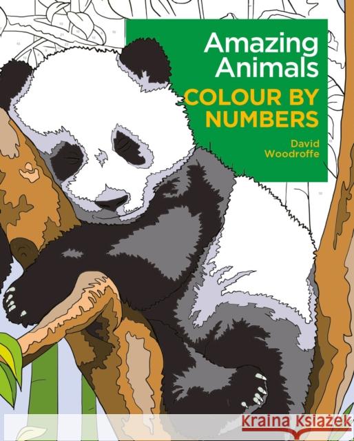 Amazing Animals Colour by Numbers David Woodroffe 9781398838772 Arcturus Publishing Ltd