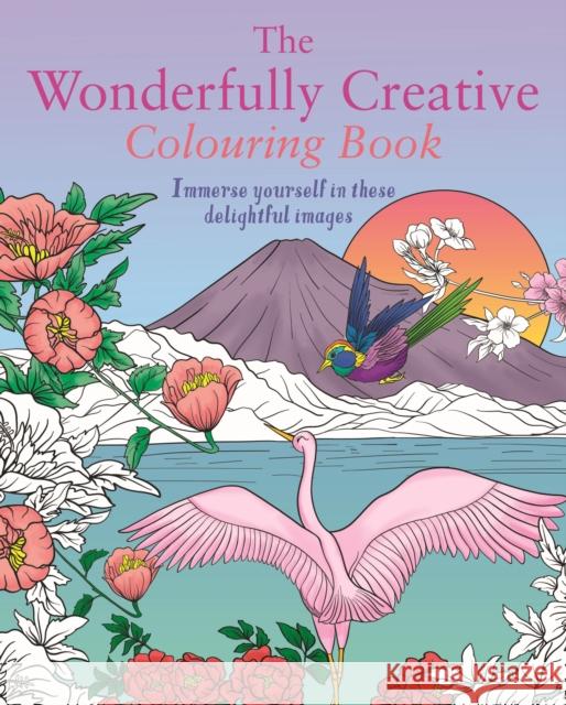 The Wonderfully Creative Colouring Book: Immerse yourself in these delightful images Tansy Willow 9781398839625 Arcturus Publishing Ltd