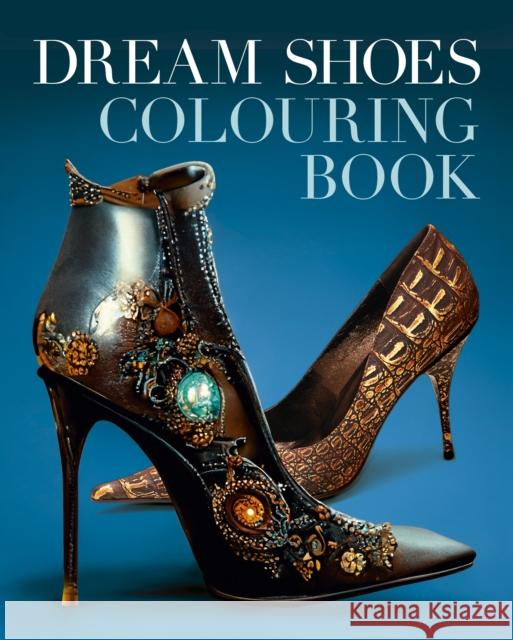 Dream Shoes Colouring Book Tansy Willow 9781398840126