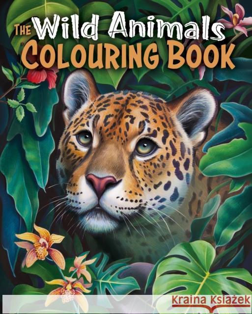 The Wild Animals Colouring Book: Over 45 Images to Colour Tansy Willow 9781398840225