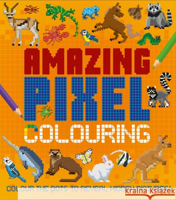 Amazing Pixel Colouring: Colour the Dots to Reveal Hidden Pictures! Dan Crisp 9781398841369