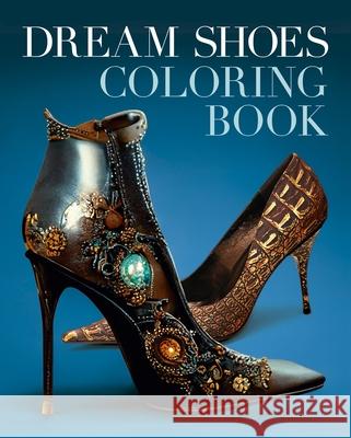 Dream Shoes Coloring Book Tansy Willow 9781398843493