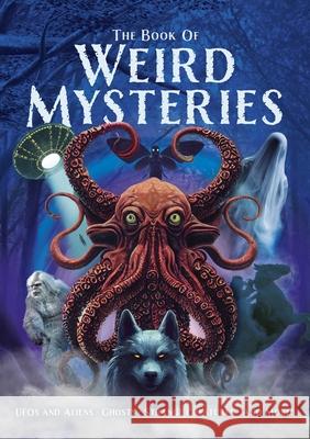 The Book of Weird Mysteries John Hawkins 9781398850460