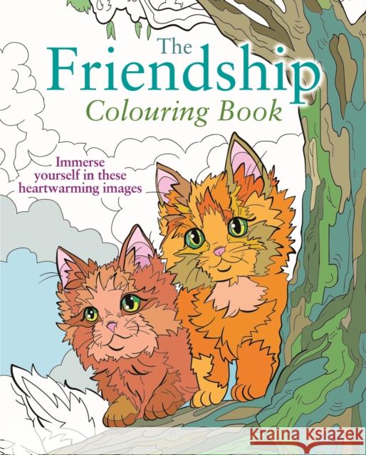 The Friendship Colouring Book: Immerse yourself in these heartwarming images Tansy Willow 9781398851542 Arcturus Publishing Ltd