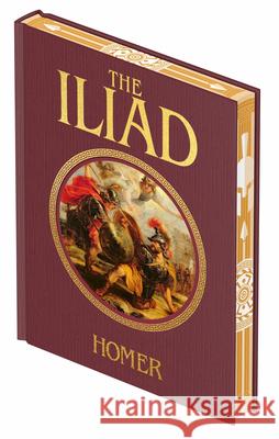 The Iliad Homer 9781398861114