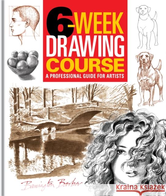 6-Week Drawing Course: A Professional Guide for Artists Barrington Barber 9781398862883