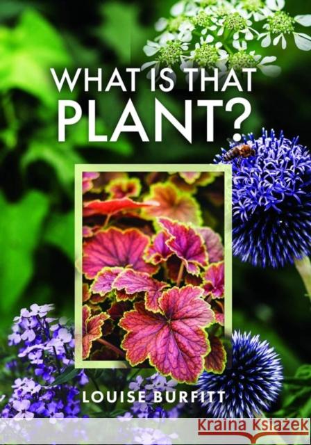 What is that Plant? Louise Burfitt 9781399006163 Pen & Sword Books Ltd