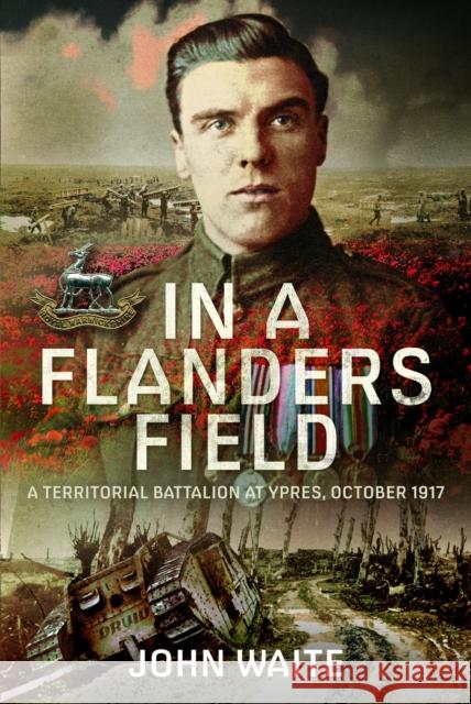 In A Flanders Field: A Territorial Battalion at Ypres, October 1917  9781399037235 Pen & Sword Books Ltd