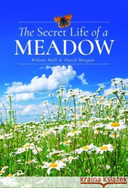 The Secret Life of a Meadow David Morgan 9781399072540 Pen & Sword Books Ltd