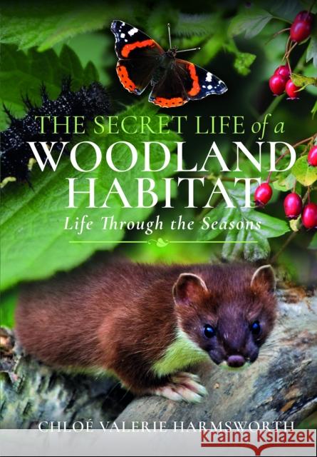 The Secret Life of a Woodland Habitat: Life Through the Seasons Chloe Valerie Harmsworth 9781399093347 Pen & Sword Books Ltd