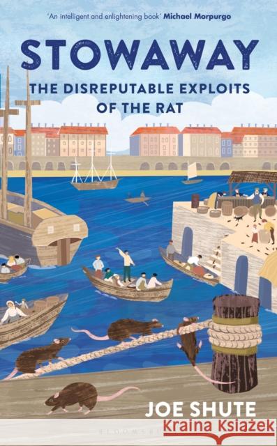 Stowaway: The Disreputable Exploits of the Rat – A NEW SCIENTIST NON-FICTION BOOK OF THE YEAR Joe Shute 9781399402507 Bloomsbury Publishing PLC