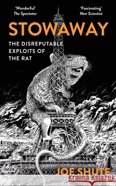 Stowaway: The Disreputable Exploits of the Rat – A NEW SCIENTIST NON-FICTION BOOK OF THE YEAR Joe Shute 9781399402514 Bloomsbury Publishing PLC