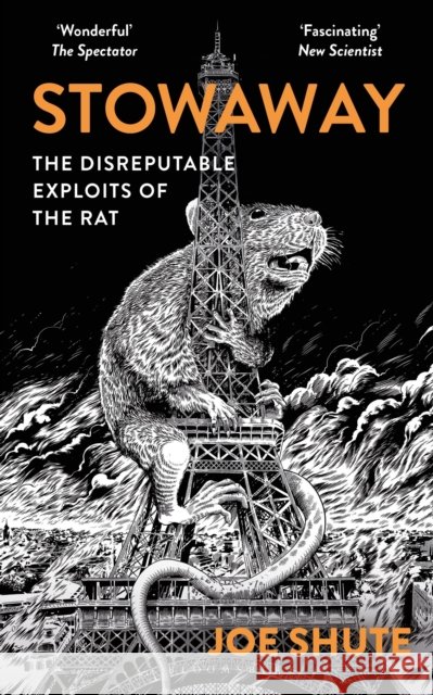 Stowaway: The Disreputable Exploits of the Rat – A NEW SCIENTIST NON-FICTION BOOK OF THE YEAR Joe Shute 9781399402514 Bloomsbury Publishing PLC