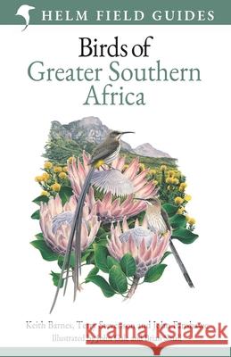 Field Guide to Birds of Greater Southern Africa Keith Barnes 9781399403221