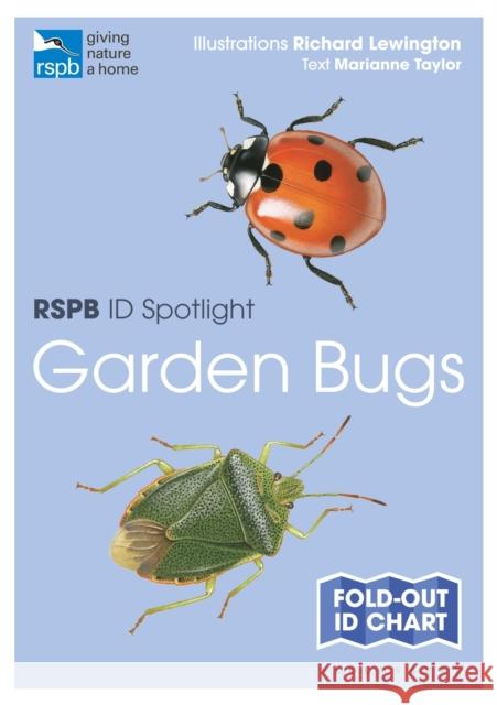 RSPB ID Spotlight - Garden Bugs Marianne Taylor 9781399403689 Bloomsbury Publishing PLC