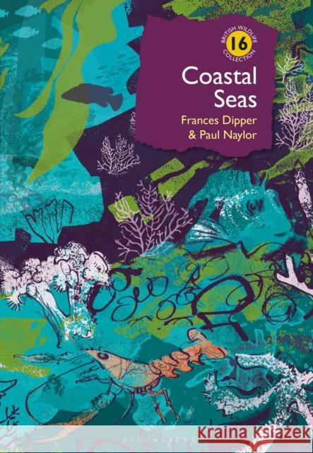 Coastal Seas Dr Paul Naylor 9781399404761