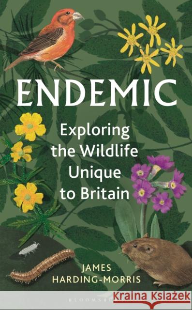 Endemic: Exploring the wildlife unique to Britain James Harding-Morris 9781399405676