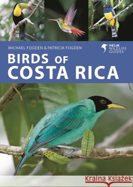 Birds of Costa Rica Patricia Fogden 9781399406635 Bloomsbury Publishing PLC