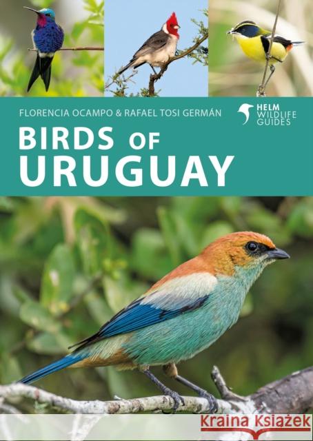 Birds of Uruguay Rafael Tosi German 9781399406734 Bloomsbury Publishing PLC