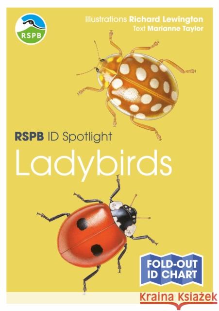 RSPB ID Spotlight - Ladybirds Marianne Taylor 9781399406796 Bloomsbury Publishing PLC