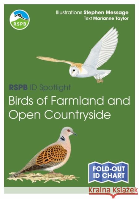 RSPB ID Spotlight - Birds of Farmland and Open Countryside Marianne Taylor 9781399406802 Bloomsbury Publishing PLC