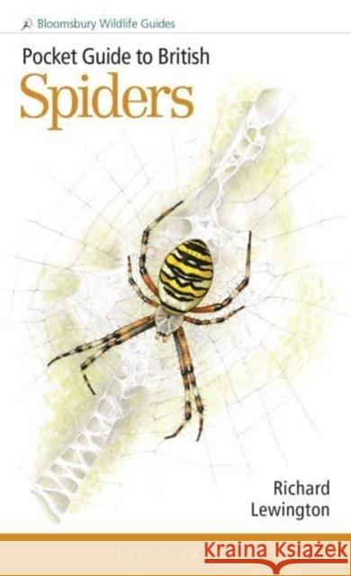 Pocket Guide to British Spiders Richard Lewington 9781399406987