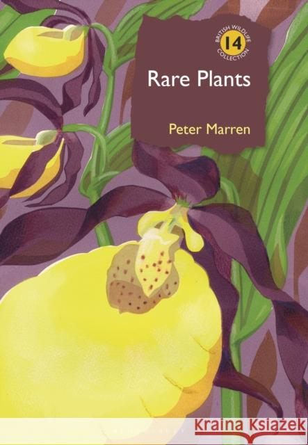 Rare Plants Peter Marren 9781399407328 Bloomsbury Wildlife