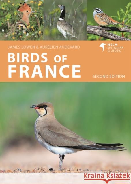 Birds of France Aurelien Audevard 9781399411387 Bloomsbury Publishing PLC