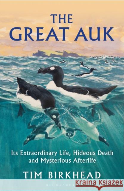 The Great Auk: Its Extraordinary Life, Hideous Death and Mysterious Afterlife Tim Birkhead 9781399415743 Bloomsbury Publishing PLC