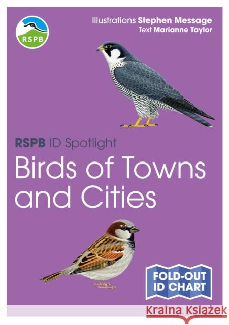 RSPB ID Spotlight - Birds of Towns and Cities Marianne Taylor 9781399419093 Bloomsbury Publishing PLC