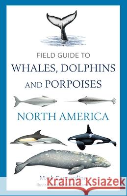 Field Guide to Whales, Dolphins and Porpoises of North America Mark Carwardine 9781399424417 Bloomsbury Publishing PLC