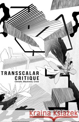 Transscalar Critique: Climate, Blackness, Crisis Ivry, Henry 9781399506465 Edinburgh University Press